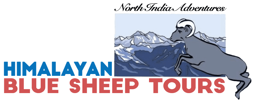 Himalayan Bluesheep Tours
